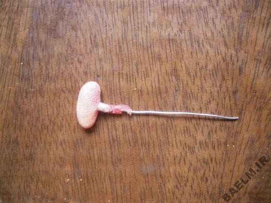 ساخت كاردستي بسيار زيبا با جوراب | پروانه جورابي ساخت كاردستي بسيار زيبا با جوراب | پروانه جورابي