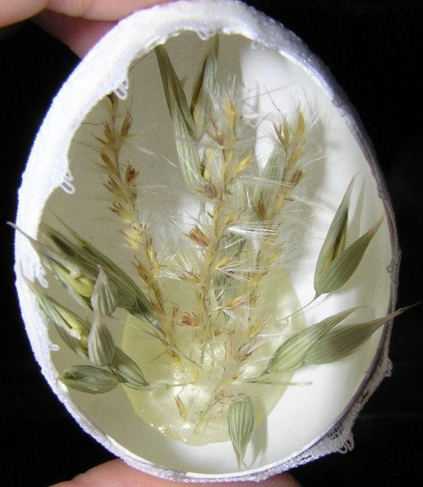 تخم مرغ هفت سين | تزئين تخم مرغ به شكل خيلي زيبا تخم مرغ هفت سين | تزئين تخم مرغ به شكل خيلي زيبا