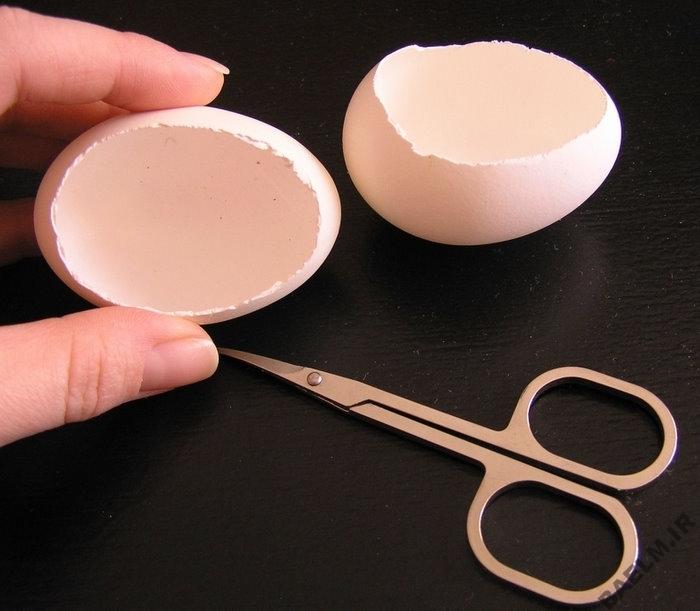 تخم مرغ هفت سين | تزئين تخم مرغ به شكل خيلي زيبا تخم مرغ هفت سين | تزئين تخم مرغ به شكل خيلي زيبا