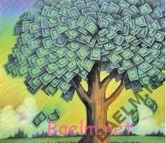 سرگرمی : کاریکاتورهای خنده دار و واقعی