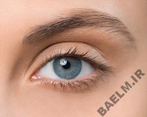 آرايش و زيبايي | آرايش چشم ساده به سبك فرانسوي 5