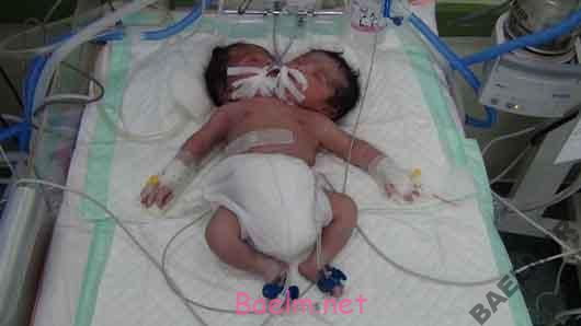 دیدنیها | اگه دلشو نداری نیگا نکن