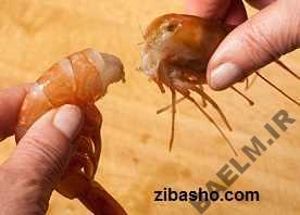 هنر خانه داري | آموزش پاك كردن ماهي و ميگو + عكس 670px-Peel-a-Cooked-Prawn-Step-2