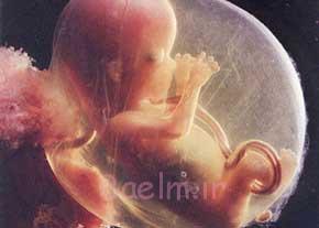 بانوان | شرح کامل مراحل زایمان و علائم شروع زایمان