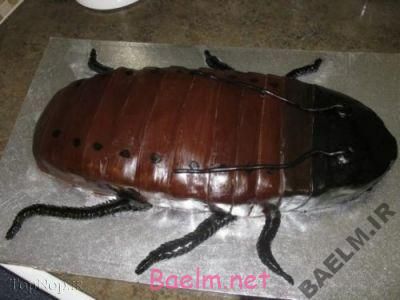 دیدنیها | عکس هایی از عجیب ترین و خنده دارترین کیک های تولد و عروسی