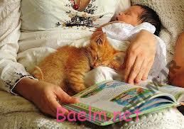 دیدنیها | عکسهای خنده دار و بامزه از نحوه خوابیدن گربه ها