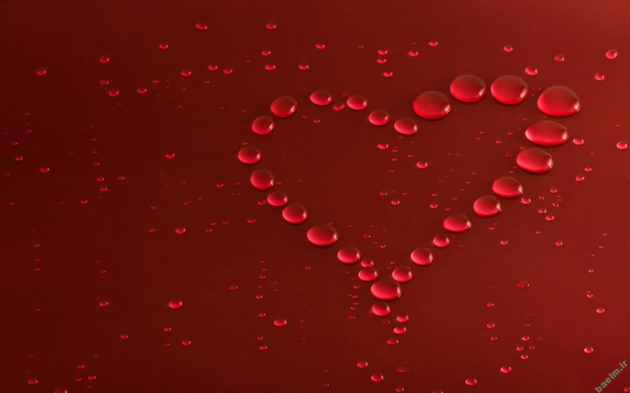 029339120999285911668 (1)