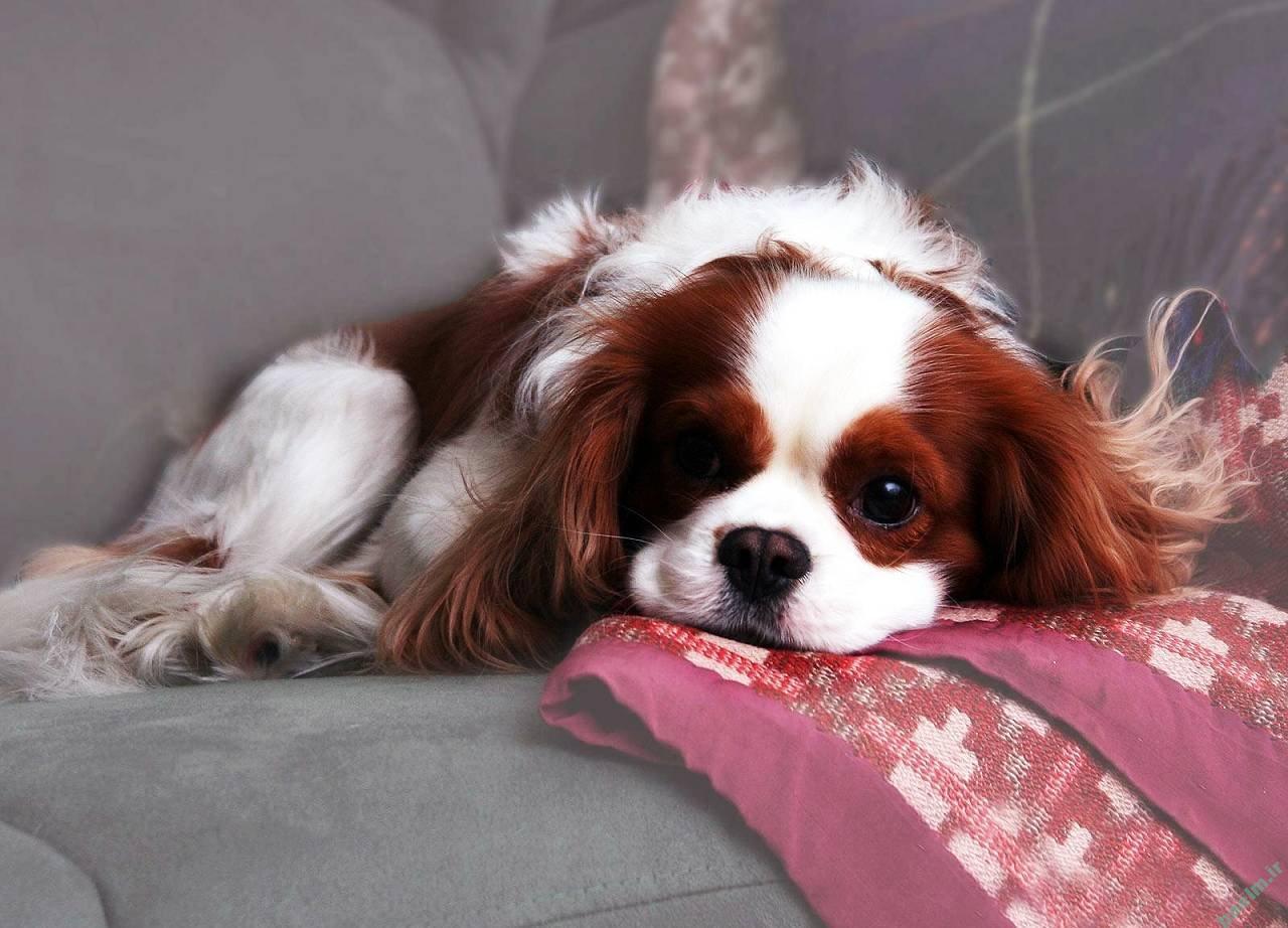 029339120999285911668 (5)