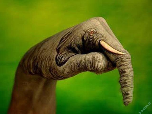 عکس | تصاویر خلق شده از حیوانات با استفاده از هنر روی دست انسان 12