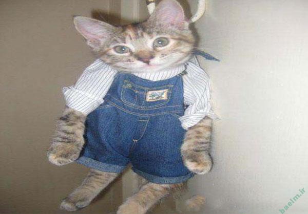 عکس های خنده دار | تصاویر بسیار خنده دار و بامزه (حتما ببینید) 13