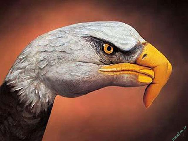 عکس | تصاویر خلق شده از حیوانات با استفاده از هنر روی دست انسان 1