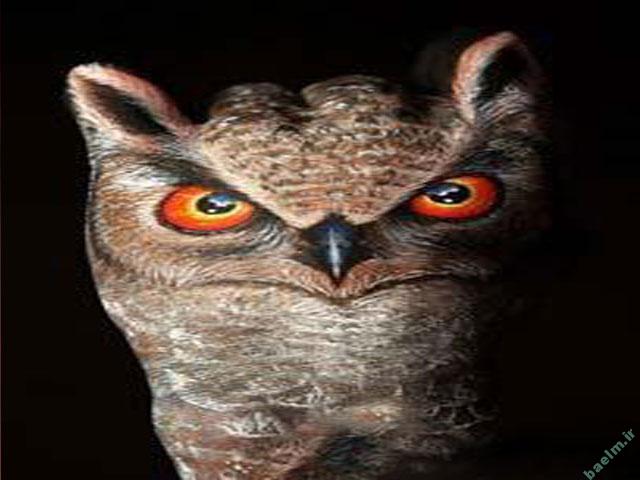 عکس | تصاویر خلق شده از حیوانات با استفاده از هنر روی دست انسان 4