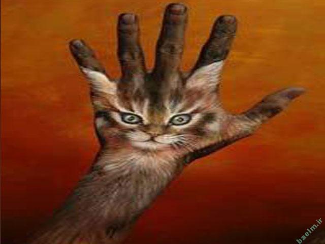 عکس | تصاویر خلق شده از حیوانات با استفاده از هنر روی دست انسان 8