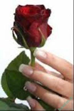 دیدنیها | تصاویر زیبا ، رومانتیک ، عاشقانه (سری پنجم ) a10