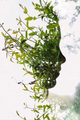 دیدنیها | تصاویر زیبا ، رومانتیک ، عاشقانه (سری پنجم ) a12