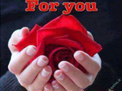 دیدنیها | تصاویر زیبا ، رومانتیک ، عاشقانه (سری چهارم ) a5