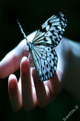 دیدنیها | تصاویر زیبا ، رومانتیک ، عاشقانه (سری پنجم ) a7