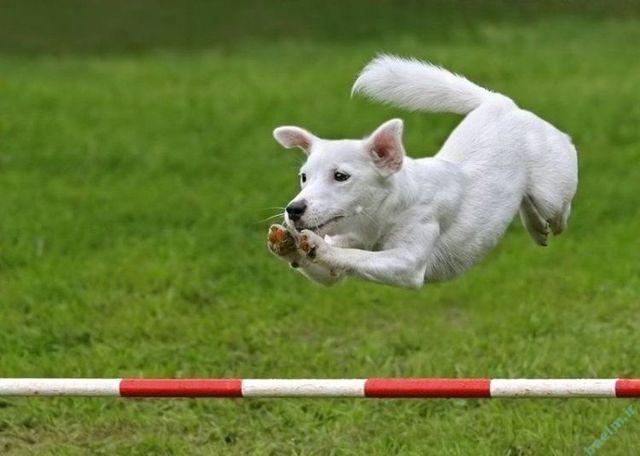 عکسهای خفن و خنده دار سری اول