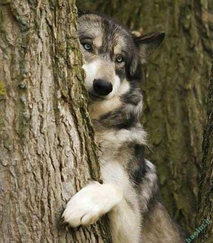 عکسهای خفن و خنده دار سری اول