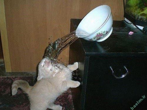 عکس نوشته های بامزه و خنده دار -سری 71 عکس نوشته های بامزه و خنده دار -سری 71