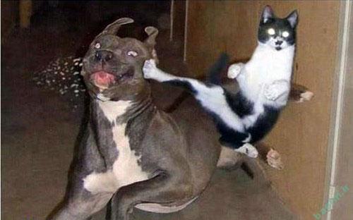 عکس خنده دار و بامزه از نوشته های جالب عکس خنده دار و بامزه از نوشته های جالب