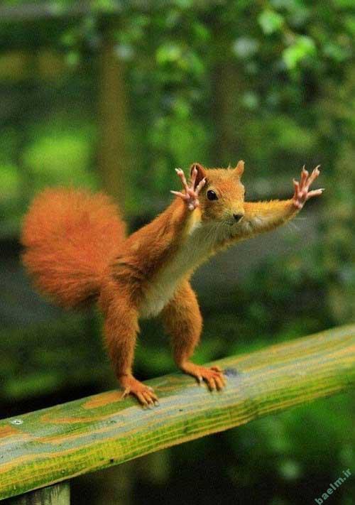 عکس خنده دار و بامزه از نوشته های جالب عکس خنده دار و بامزه از نوشته های جالب