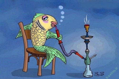 عکس خنده دار و بامزه از نوشته های جالب عکس خنده دار و بامزه از نوشته های جالب