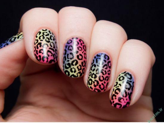 ديزاين ناخن جديد,ديزاين ناخن عروس,مانيكور ناخن,مدل آرايش ناخن,مدل ديزاين ناخن,مدل طراحي,مدل طراحي روي ناخن,مدل طراحي ناخن,مدل طراحي ناخن جديد,مدل ناخن,مدل ناخن عروس,ایده خلاقیت هنری ديزاين ناخن جديد,ديزاين ناخن عروس,مانيكور ناخن,مدل آرايش ناخن,مدل ديزاين ناخن,مدل طراحي,مدل طراحي روي ناخن,مدل طراحي ناخن,مدل طراحي ناخن جديد,مدل ناخن,مدل ناخن عروس,ایده خلاقیت هنری