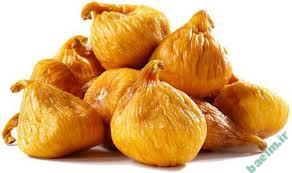 گياهان دارويي | خواص دارويي " انجير " 77474747