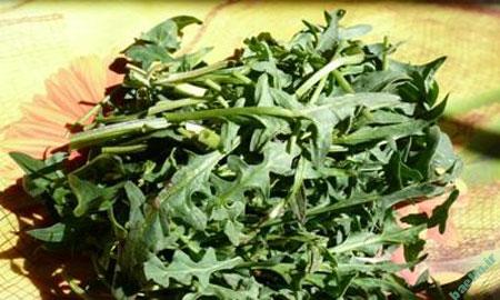 طرز تهیه کوکو سبزی کوهی, مواد لازم برای کوکوی سبزی کوهی