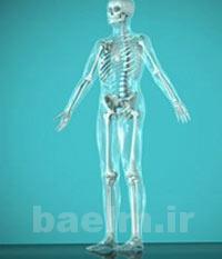 پوکی استخوان,پوکی استخوان و ورزش,جلوگیری از پوکی استخوان با ورزش پوکی استخوان,پوکی استخوان و ورزش,جلوگیری از پوکی استخوان با ورزش