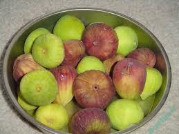 گياهان دارويي | خواص دارويي " انجير " images