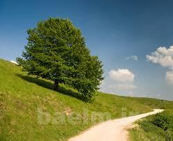 عکس | عکسهای زیبا و قشنگ برای پس زمینه (Wallpapers)سری 2 19