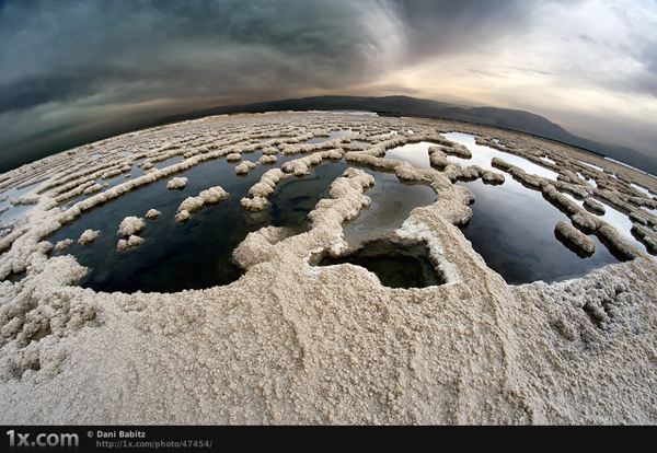 Genesis of a New World