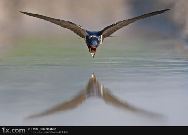 amazing ature photographs 