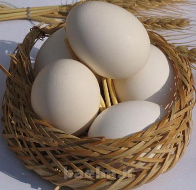 تغذیه سالم, بیماریهای قلبی, سرطان پروستات تغذیه سالم, بیماریهای قلبی, سرطان پروستات