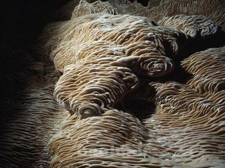 غار,غارهای یخی,زیباترین غارهای جهان