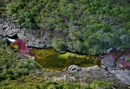 رودخانه,رودخانه 5 رنگ در کلمبیا,عجایب طبیعت