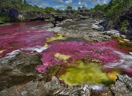 رودخانه,رودخانه 5 رنگ در کلمبیا,عجایب طبیعت