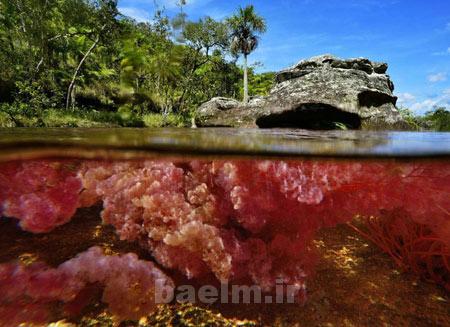رودخانه,رودخانه 5 رنگ در کلمبیا,عجایب طبیعت