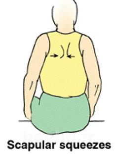 حرکات ورزشی برای تقویت عضلات کتف,ورزش برای بهبود درد کتف و عضلات فوقانی پشت,تمرینات ورزشی کشش عضلات کتف حرکات ورزشی برای تقویت عضلات کتف,ورزش برای بهبود درد کتف و عضلات فوقانی پشت,تمرینات ورزشی کشش عضلات کتف