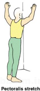 حرکات ورزشی برای تقویت عضلات کتف,ورزش برای بهبود درد کتف و عضلات فوقانی پشت,تمرینات ورزشی کشش عضلات کتف حرکات ورزشی برای تقویت عضلات کتف,ورزش برای بهبود درد کتف و عضلات فوقانی پشت,تمرینات ورزشی کشش عضلات کتف