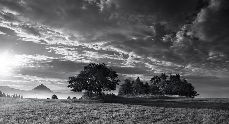 عکسهای فوق العاده زیبا از طبیعت برای تم موبایل یا صفحه دسک تاپ(سری5) lost pyramids tree photography