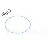 خروس تاج دار خروس تاج دار