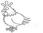 خروس تاج دار خروس تاج دار