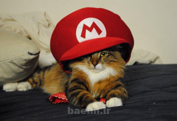 ديدنيها | عكس هاي جالب ، ديدني و خنده دار روزانه | 8 شهريور ديدنيها | عكس هاي جالب ، ديدني و خنده دار روزانه | 8 شهريور