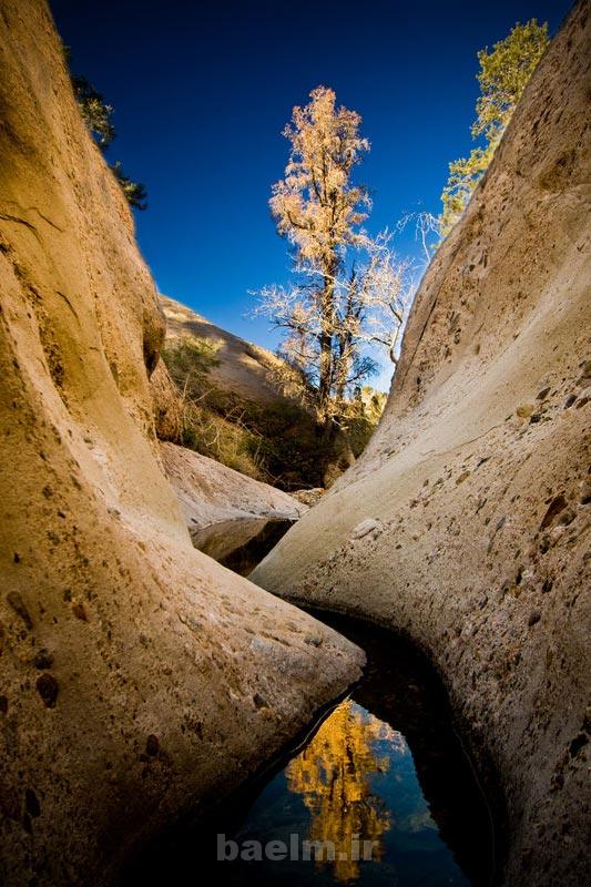 عکس های طبیعت زیبا برای صفحه گوشی یا صفحه دسک تاپ(سری6) hidden treasure tree