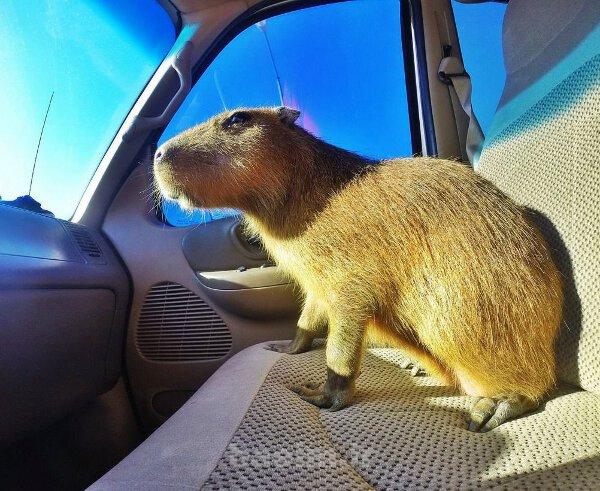 ديدنيها | عكس هاي جالب ، خنده دار و ديدني دوشنبه 10 شهريور