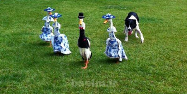 ديدنيها | عكسهاي جالب و ديدني روزانه | پنجشنبه 13 شهريور ديدنيها | عكسهاي جالب و ديدني روزانه | پنجشنبه 13 شهريور