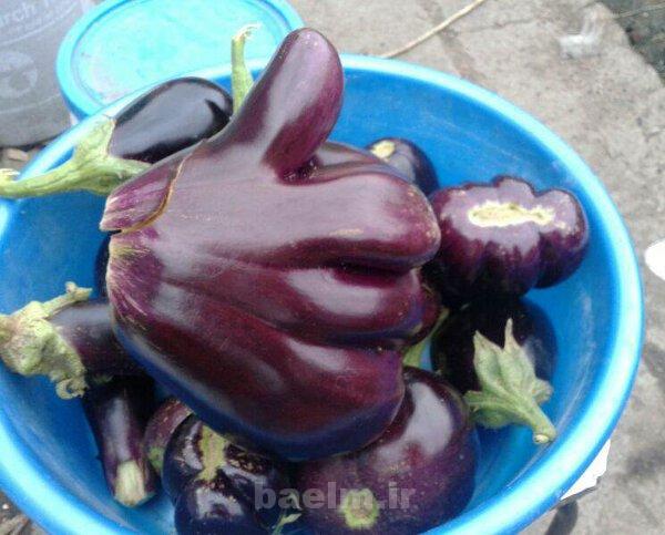 ديدنيها | عكسهاي جالب و ديدني روزانه | پنجشنبه 13 شهريور ديدنيها | عكسهاي جالب و ديدني روزانه | پنجشنبه 13 شهريور